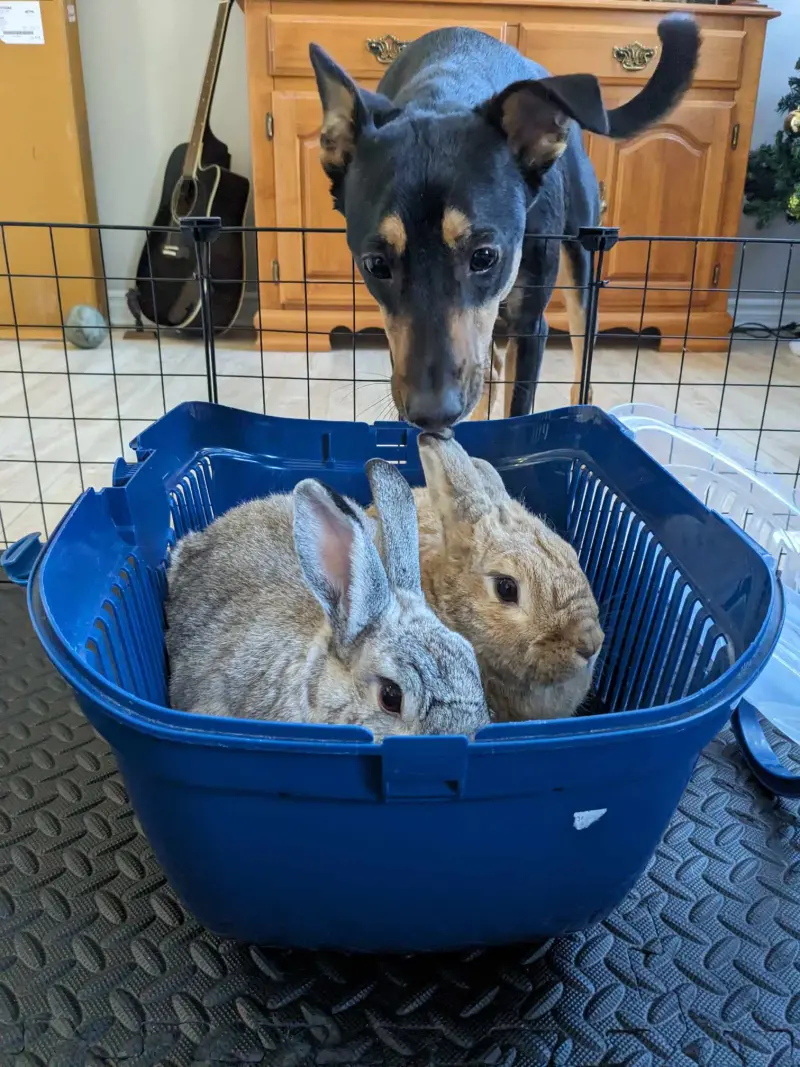Eli and Epi image